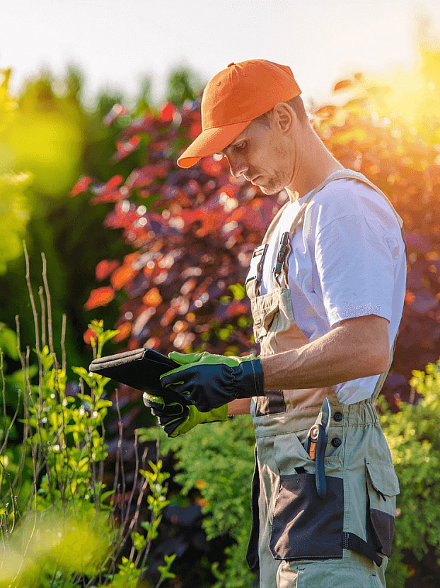 Connect-Green-Man-in-tuin
